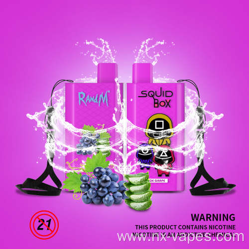 RandM Squid Box Disposable Vape Wholesale Price